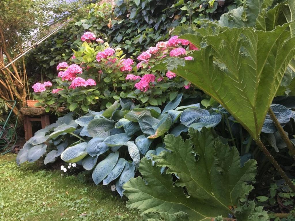 Côté Jardin, Chambres d’hôtes B&B Le Pont-de-Beauvoisin Esterno foto